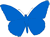 butterfly_blue_bullit.gif